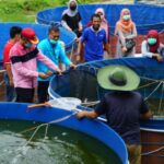 Lawan Corona dengan Gizi yang Kuat