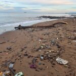 Nelayan Resah Dengan Banyaknya Sampah di Laut