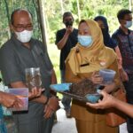 Ketua DPRD Sumbar Supardi Dukung Pemanfaatan Ulat Magot