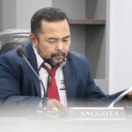 Adrian : Publik Cenderung Gunakan Ketentuan Pidana Informasi