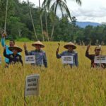 Catatan Kinerja Disbuntanhor Sumbar Sepanjang Tahun 2022 Dukung Progul Sumbar Sejahtera