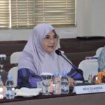 Nevi Zuairina Menilai Keberpihakan Pemerintah Terhadap UMKM Sudah Bagus Tapi Masih Kurang Dari Sisi Anggaran