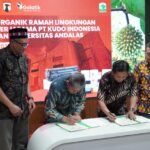 Tinta Pemilu Berbahan Gambir, UNAND-PTKIJ Resmi Bekerjasama