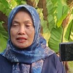 Yurnita Raih Sukses  dengan Bertani Pokok Murah Meski Awalnya Dicemooh Petani Lain