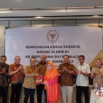 Pertamina Jangan Blunder Soal Hapus Partalite