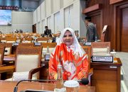 Hj. Nevi Zuairina Soroti Masalah Pertambangan Tanpa Izin (PETI) dalam Raker dengan Kementerian ESDM