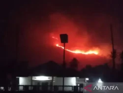 Petugas Damkar Solok Berjibaku Padamkan Puluhan Hektare Lahan
