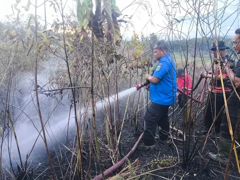 pemprov-sumbar-tetapkan-status-siaga-darurat-karhutla-60-hari