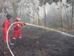 Manggala Agni Perkuat Pemadaman Karhutla Tanjung Peranap
