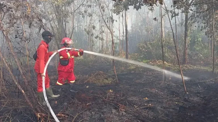 bantu-karhutla-di-tanjung-peranap,-manggala-agni-turun-tangan