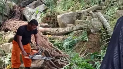 rumah-warga-batang-arau-ditimpa-pohon-tumbang