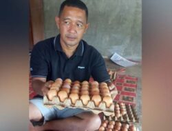 Rinaldi Sikumbang Kembangkan Ayam Buras, Hasilkan Jutaan Rupiah