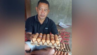 dari-honorer-jadi-juragan,-rinaldi-sikumbang-sukses-kembangkan-ayam-buras