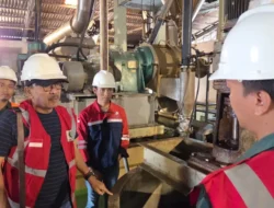 PT Garam Siap Ujudkan Swsembada Garam
