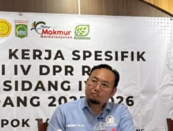 Komisi IV DPR Dorong Kementerian Pertanian Percepat Subsidi Bibit Bawang