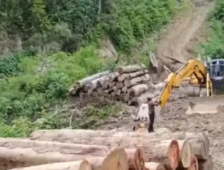 Kasus Pembalakan Liar Sariak Bayang Masuk Tahap Penuntutan, Tersangka Dilimpahkan ke Kejari Solok
