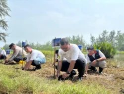 InJourney Tanam 10 Ribu Mangrove di Pantai Tiram, Perkuat Ekosistem dan Pariwisata Padang Pariaman