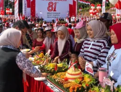 Hebohhh Gebyar Merdeka di Pabuaran