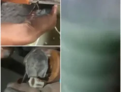 Pertalite Bercampur Semen Viral, Rahmat Saleh Minta Pertanggungjawaban Pertamina